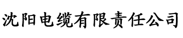 香蕉成人精品电缆厂logo